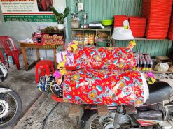 Heo Sữa Nhỏ [ 2,2kg - 2,5kg ]