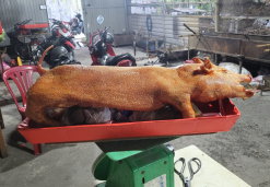 Heo quay nguyên con 6kg - 8kg